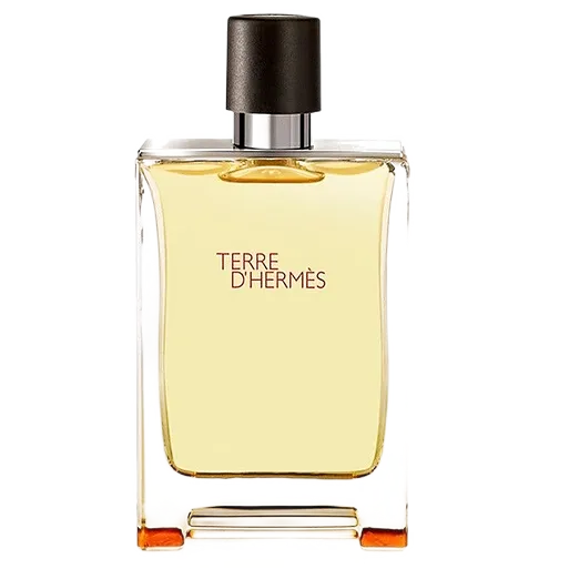 Hermès - Terre d' Hermes Eau de Toilette 100ml (Tester) in Taglia 100ml